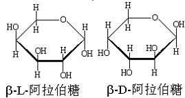 β-L-阿拉伯糖，β-D-阿拉伯糖