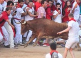西班牙奔牛节题图.jpg