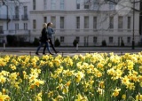 伦敦春色题图.jpg