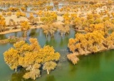 新疆湿地美景题图.jpg