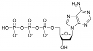 Chemical structure of deoxyadenosine triphosphate