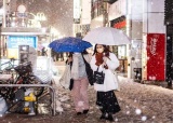 东京雪夜题图.jpg