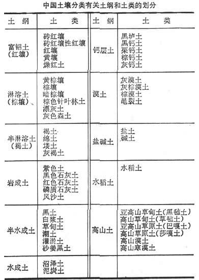 中国土壤分类有关土纲和土类的划分.jpg
