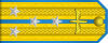 100px-Captain of the Air Force rank insignia (North Korea).svg.png