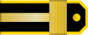 100px-Chief Petty Officer rank insignia (North Korea).svg.png
