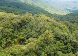 海南热带雨林风光题图.jpg