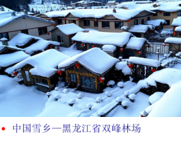 关注与记录：中国雪乡：黑龙江省双峰林场.png