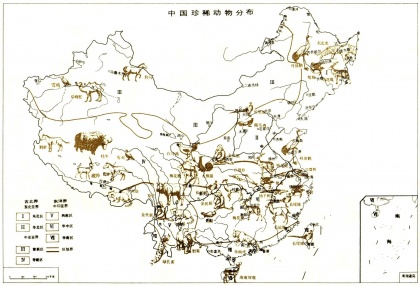 中国珍稀动物分布.jpg