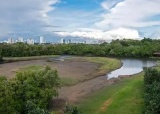 新加坡双溪布洛湿地题图.jpg